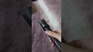 Шокер - фонарь отпугиватель собак