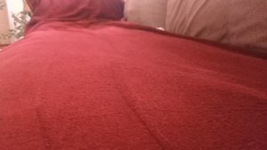 Пылесосим вместе с собакой. Обзор на вертикальный пылесос Kitfort КТ-5142