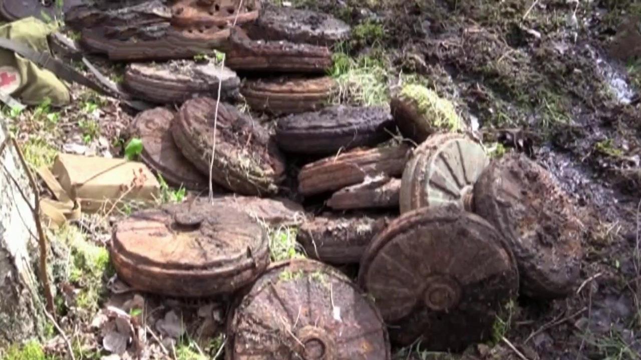 Под Старой Руссой нашли и обезвредили минное поле,...войсками во времена Великой Отечественной войны