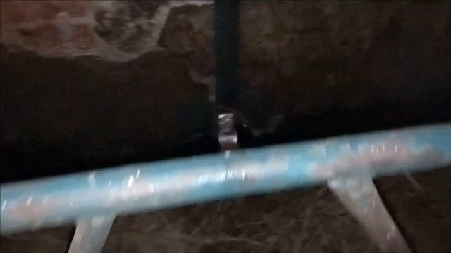 Ломают ли автопоилки бычки (крс)??? Поилки после двух лет эксплуатации!! Плюсы и минусы