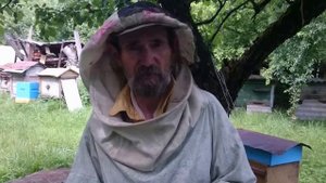 Одомашнивание медоносной пчелы. Экспериментальная пасека с Бичеревым А.П