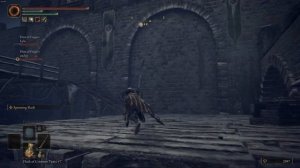 Seamless Coop Mod for Elden Ring is Amazing