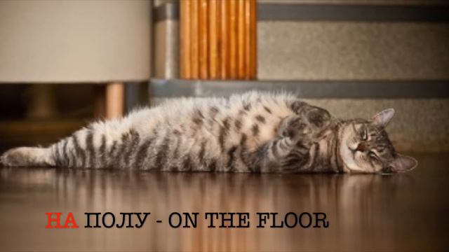 Prepositions "В" and "НА" in Russian language | Learn Russian with Olga смотреть онлайн