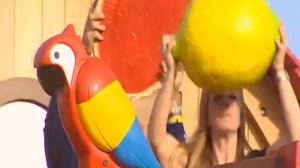 Volker Rosin - Jambo Mambo | Kinderlieder