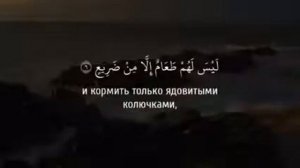 Сура /88 Аль-Гашия ( Покрывающее) чтец Ислам Субхи 📚🌴