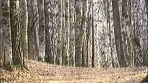 Ballad about love - Lisa & Misha (Баллада о любви - Лиза и Михаил)