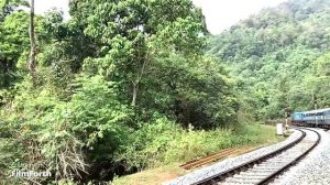 вояж, музыкальный ремикс