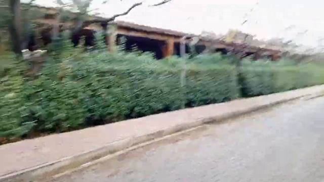 гуляем по окрестностям отеля.ноябрь 2023 года смотреть онлайн