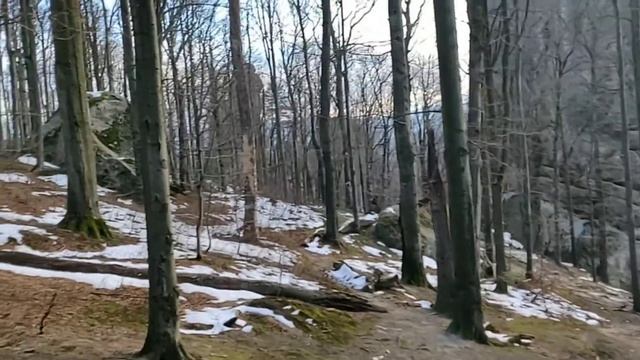 НАДЯ МЕНЯ НАПУГАЛА ! ВОЛКИ В ГОРАХ. НОЧЬЮ ИДТИ ДОМОЙ ЧЕРЕЗ ЛЕС. смотреть онлайн