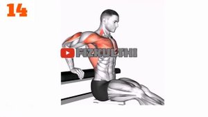 13 Лучших упражнений с отягощением для Ваших мышц