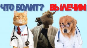 КАК ЖИВОТНЫЕ НАС ИСЦЕЛЯЮТ - Удивительный Симбиоз Человека С Животными