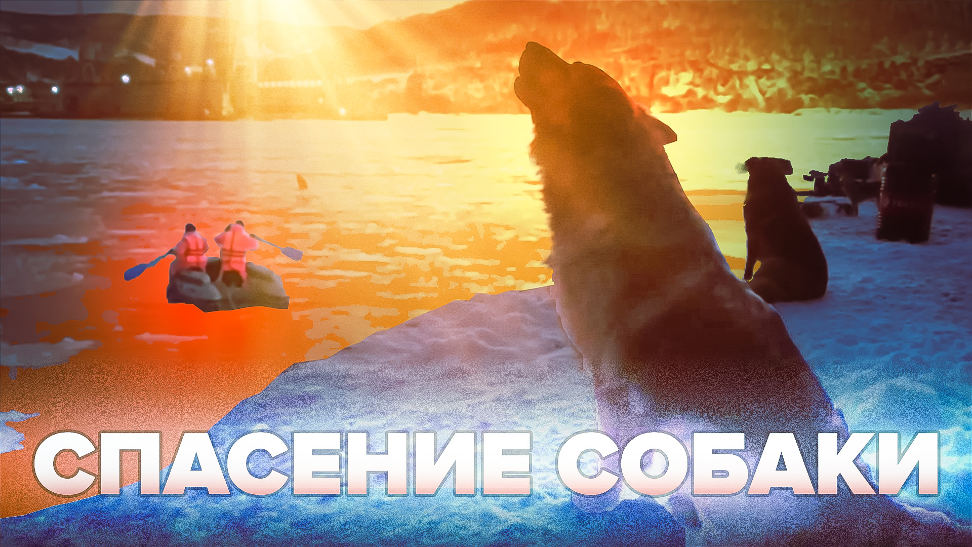 На Камчатке сотрудники МЧС спасли дрейфующую на льдине собаку