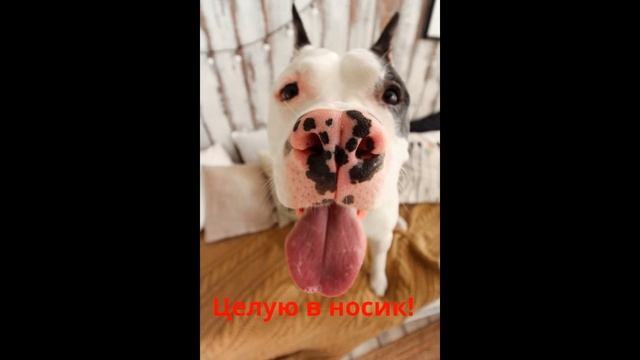 С Днем рождения, Марина Владимировна!
