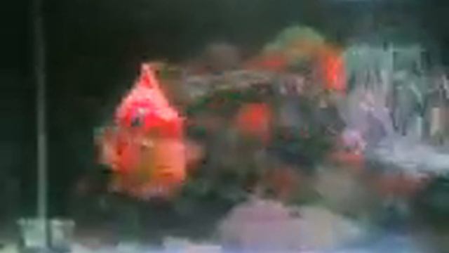 FLOWERHORN - snow white+pearl of d orient AND baby face смотреть онлайн