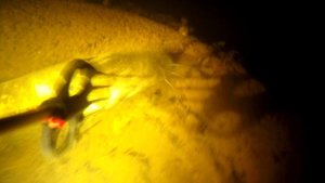 Подводная охота 2019 год. Псковская область