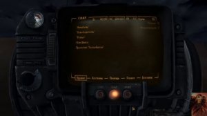 Уникальное оружие Fallout New Vegas