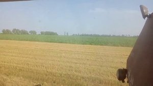 СК 5 нива косить на шабашке. Гидравлика выносит мозг.
