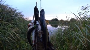 Подводная охота на щуку!Прозрак на реке Ранова в сентябре!