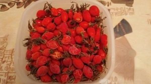 Шиповник замороженный на зиму