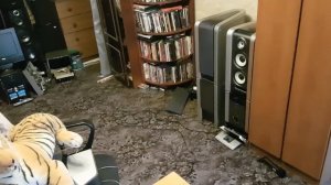 Sony dhc-flx5d sound