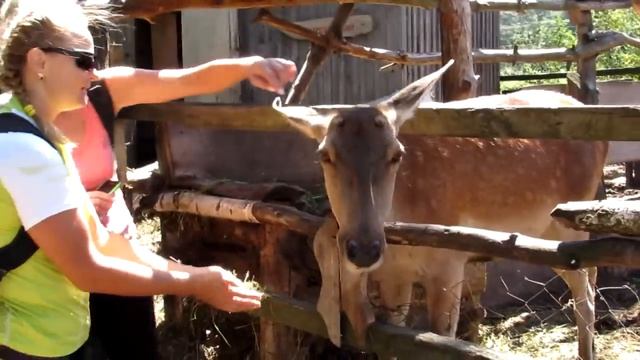 Покатушка Киев - Гоголев - Русанов - Воронков - Процев - Киев смотреть онлайн