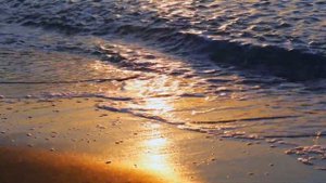 Расслабляющая музыка на фоне пляжа. Как умилиться за 2 минуты? ^_^ relax,nature&music