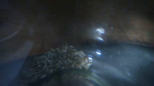 🎼"В КРУГЕ"🎼ТЕХНО-МУЗЫКА-Aleks'mus Barsov 2020г смотреть онлайн