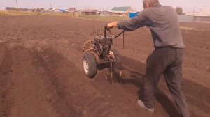 Посадка картофеля в гребни мотоблоком