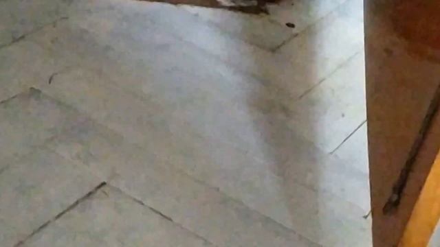 как клянчить деньги у мамы маришка2007про смотреть онлайн