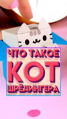 Что значит КОТ ШРЁДИНГЕРА?🤔 #shorts #коты #котШредингера #4kvideo