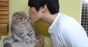  Коты не любят поцелуи 