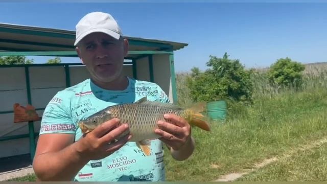 Реально когда рыбалка на карпа удалась!