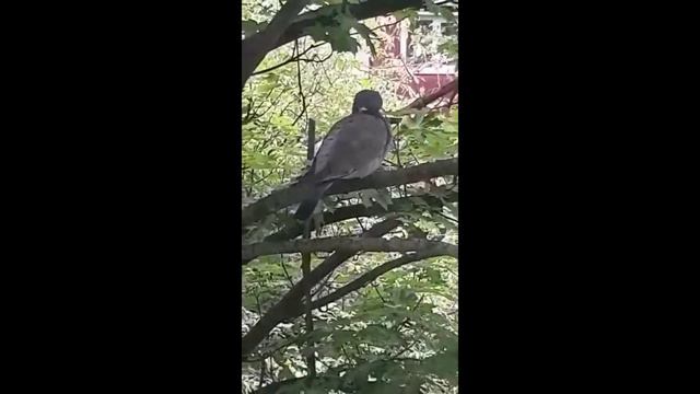 Возьмемся за руки  друзья!