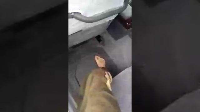 Крик души смотреть онлайн