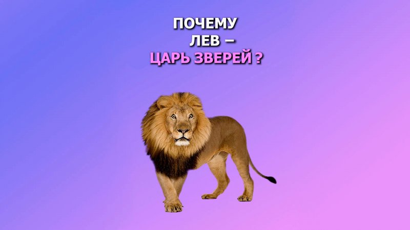 Почему лев – царь зверей?