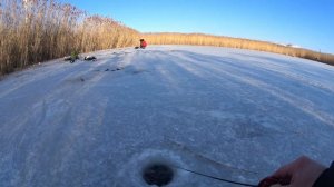 Первый лед 2023-24.Оторвались по ротану. Рыбалка на ротана саратов