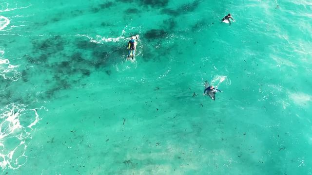 How To Create Cinematic Content with the DJI Mini 3! смотреть онлайн