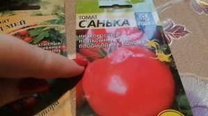 Создаю "огород на подоконнике". Потому, что я настоящая огородница (до весны, ждать не могу)