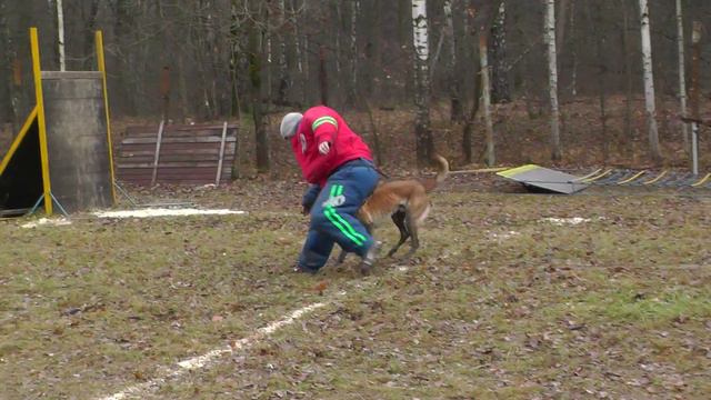 Мондьоринг. КЦ "Ясеневый" 14.11.2015 г. смотреть онлайн