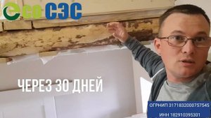 Обработка от жуков короедов усачей, точильщиков, древоточцов, типографа, а также плесени и грибка.