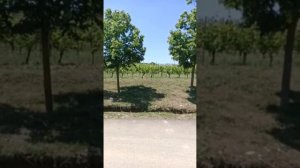 Долина Лефкадия! Красивые места в Краснодарском крае. Крымск, село Молдованское.