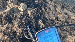 Тамань 09.08.2024. Тест нового прибора от Minelab _ Xterra Elite. Будут ли найдены цели?