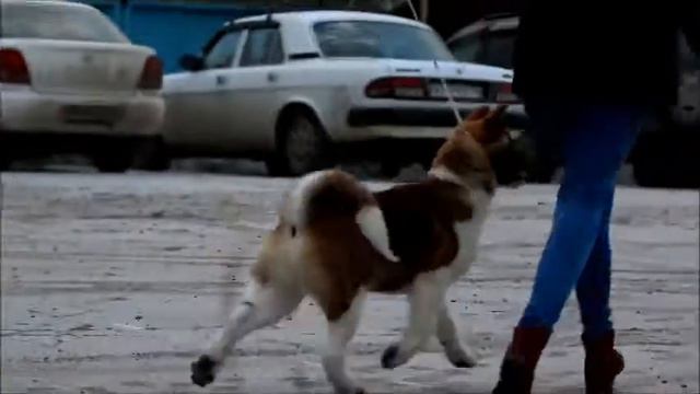 TAN-RO YUDZHIN BE HAPPY смотреть онлайн