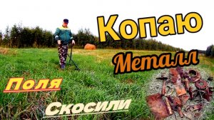 Поля скосили,копаю вечрами металлолом, коп металлолома как хобби.