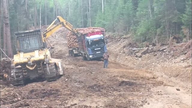 Спасаем лесовоз.