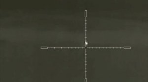 Ночная охота на хищника с тепловизорами Iray Saim SCT 35v2 и Guide TR 430