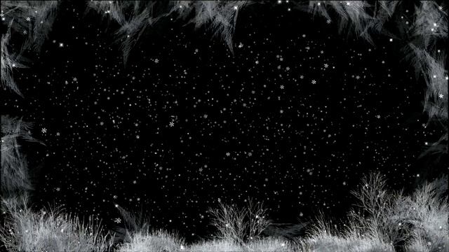 Winter Snowy Footage From Frost   3