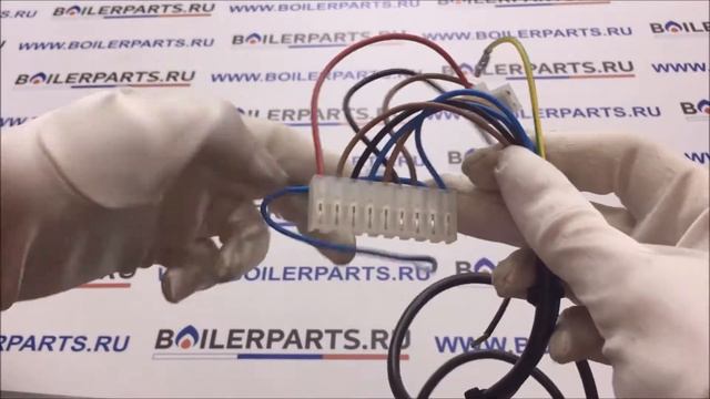 Микропереключатель с держателем и проводкой в сборе 607470 Westen Energy, Baxi Eco