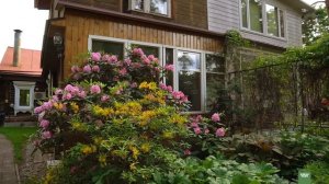 Самые НАДЕЖНЫЕ рододендроны в ВАШЕМ саду