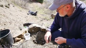 Сажаем гледичию в горах!